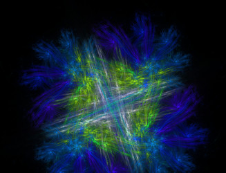 Similar image 22069506