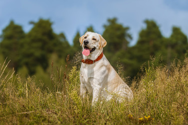 Similar image 22068222