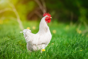 Similar image 22068307