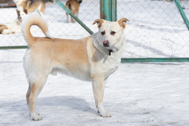 Similar image 22068326