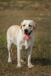 Similar image 22068327