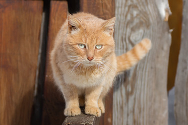 Similar image 22067483