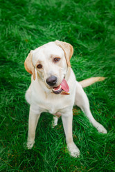 Similar image 22067487