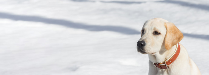 Similar image 22067494