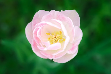 Similar image 22067495