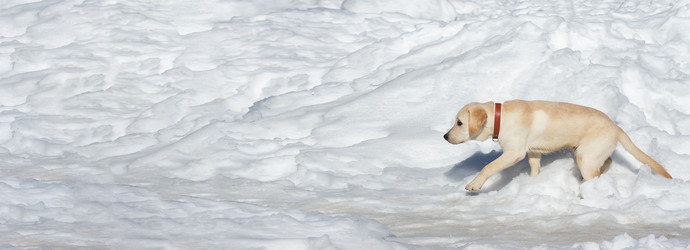 Similar image 22067498