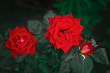 Similar image 22067499