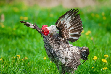 Similar image 22067501