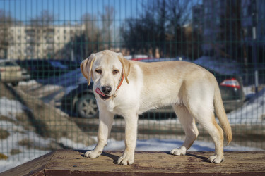 Similar image 22067502