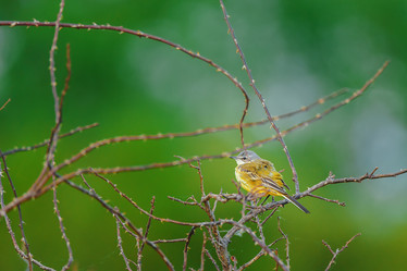 Similar image 22067505