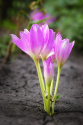 Similar image 22067510