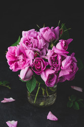 Similar image 22068471