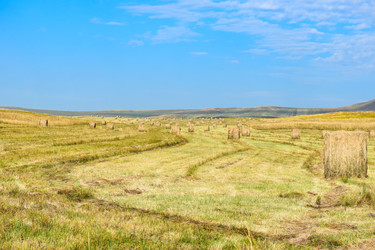 Similar image 22066779