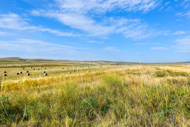 Similar image 22066781