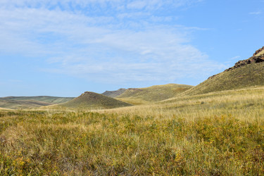 Similar image 22066787