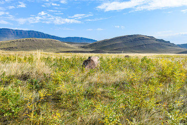 Similar image 22066796