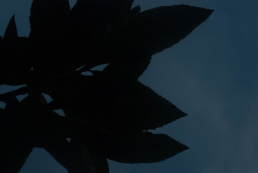 Similar image 22076172