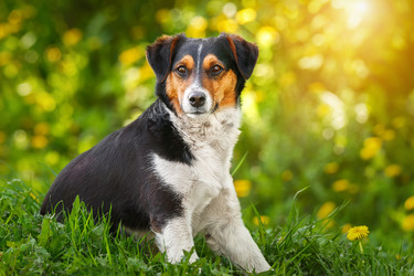 Similar image 22067954