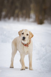 Similar image 22067955