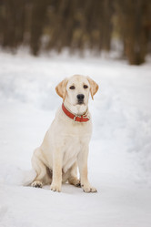 Similar image 22067957