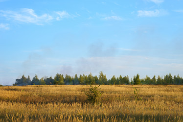 Similar image 22067958