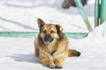 Similar image 22067963