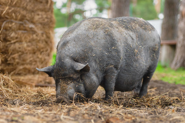 Similar image 22067964