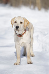 Similar image 22067972