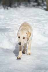 Similar image 22067973