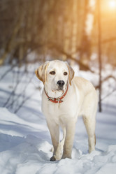 Similar image 22067975