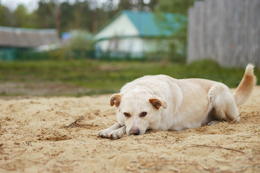 Similar image 22068225