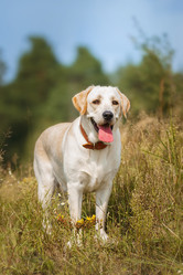 Similar image 22068227