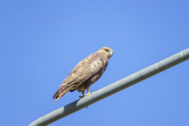 Similar image 22068228