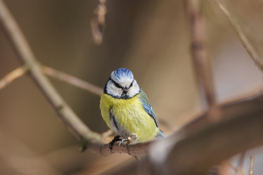 Similar image 22068229