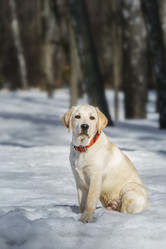 Similar image 22068233