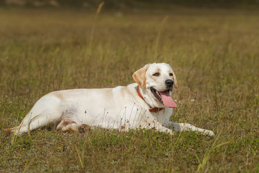 Similar image 22068237