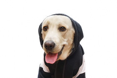 Similar image 22068241