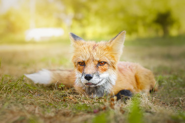 Similar image 22068243