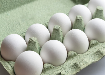 Similar image 22077046