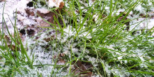 Similar image 22066852