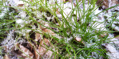 Similar image 22066853