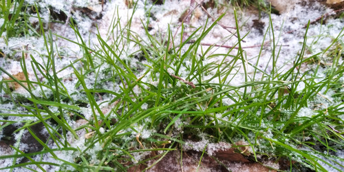 Similar image 22066854