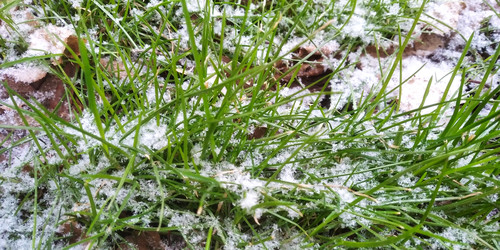 Similar image 22066855