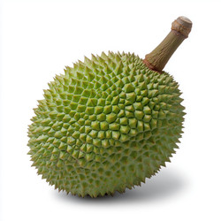 Similar image 22087093