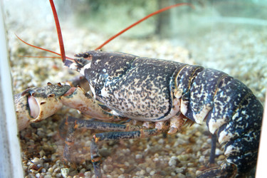 Similar image 22066804