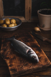 Similar image 22068511