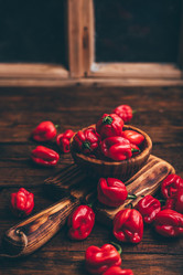 Similar image 22068516