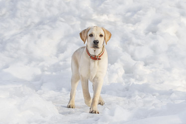 Similar image 22067783