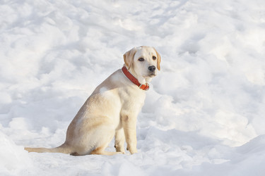 Similar image 22067785