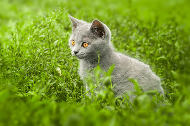 Similar image 22067786